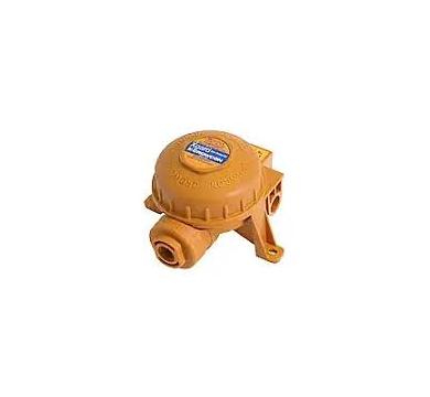 Gas Detector Xgard Type 1 CL2